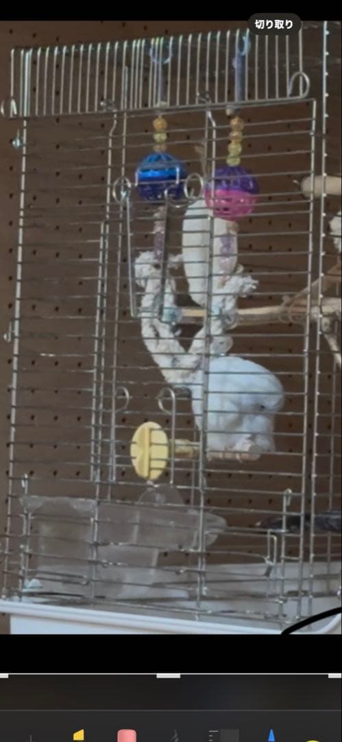 HOEI 鳥かご 止まり木・網付き