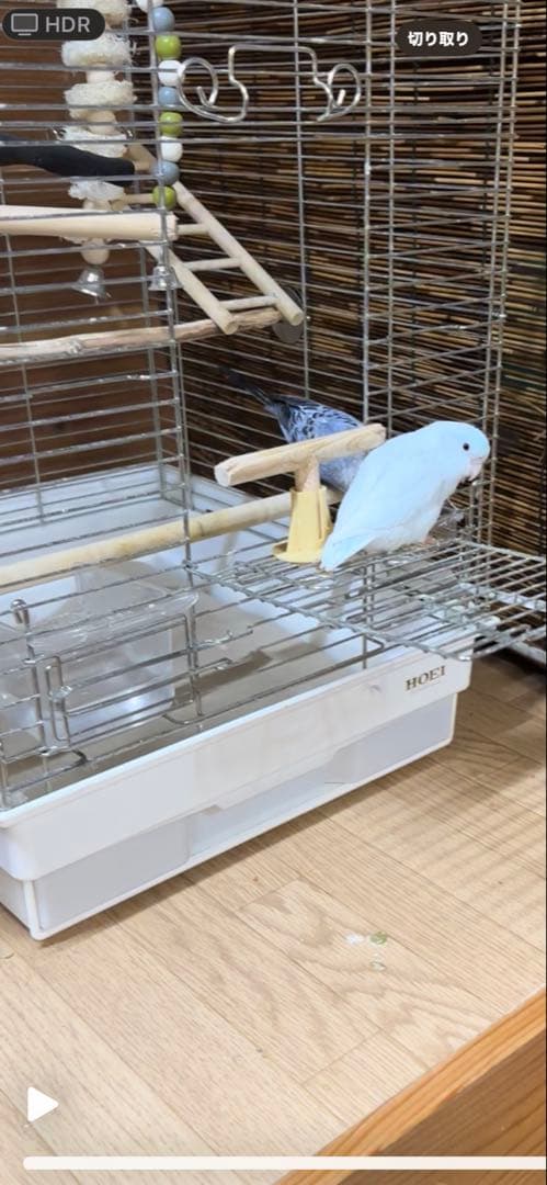 HOEI 鳥かご 止まり木・網付き