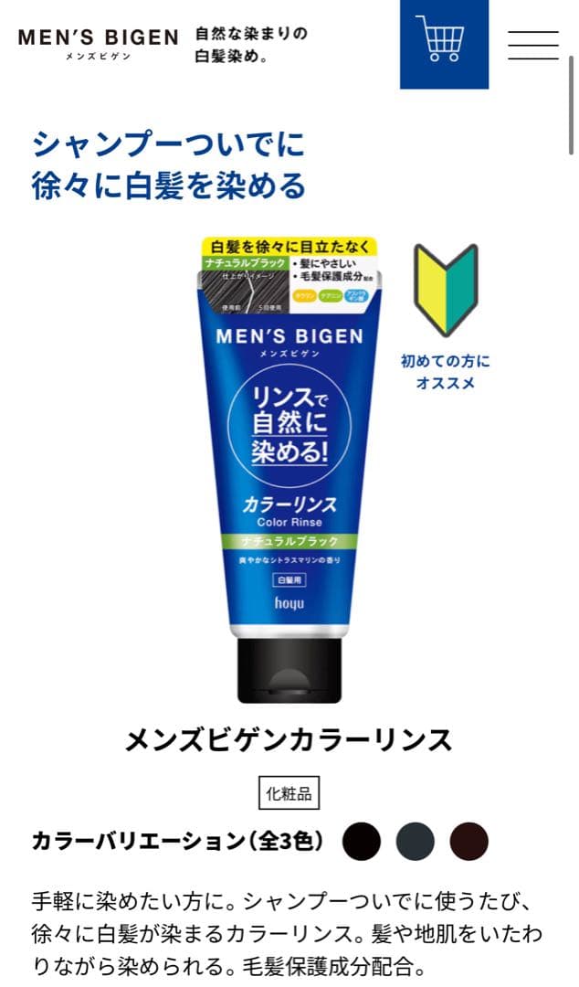 SYOSS NATURAL BLACK 白髪染め 9本セット