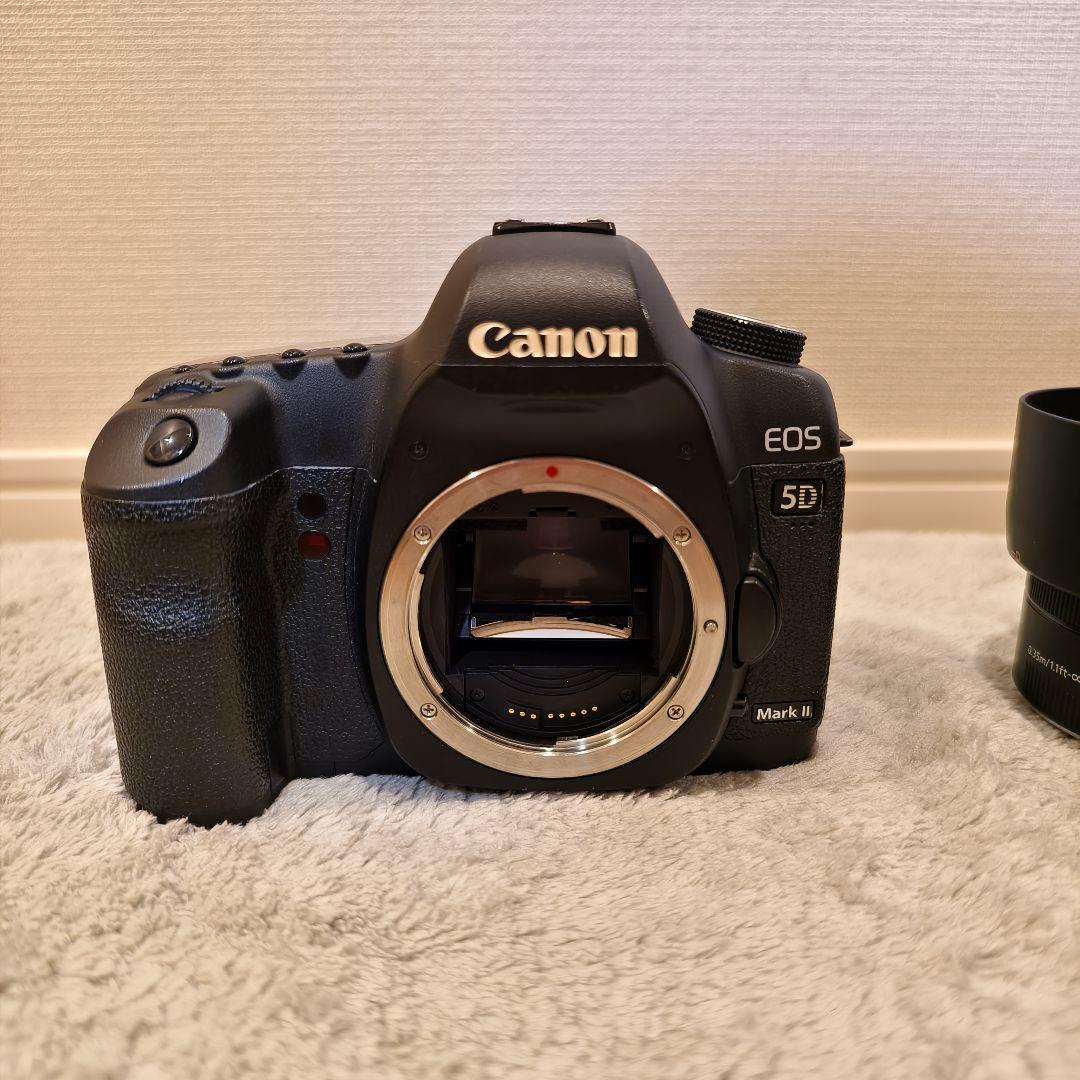 Canon EOS 5D Mark II + EF50mm F1.8 STM他
