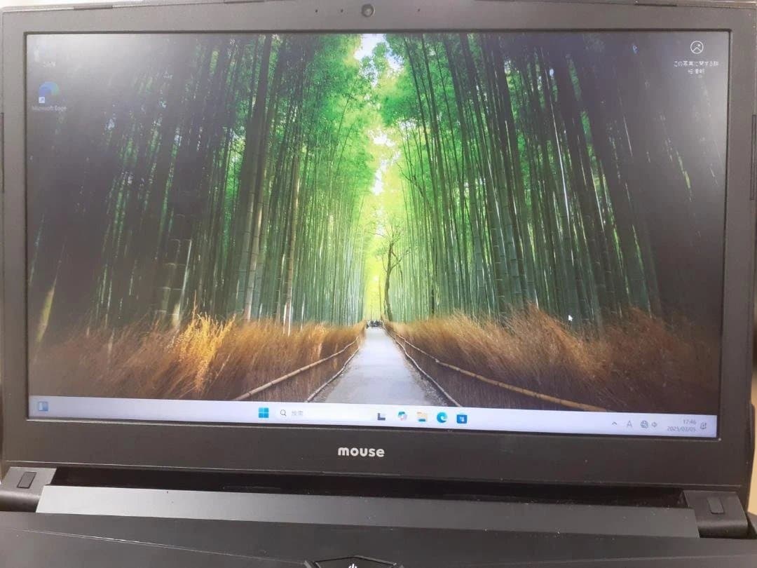 z*t様 80L0226-09【ジャンク】Mouse Core i7-8750H