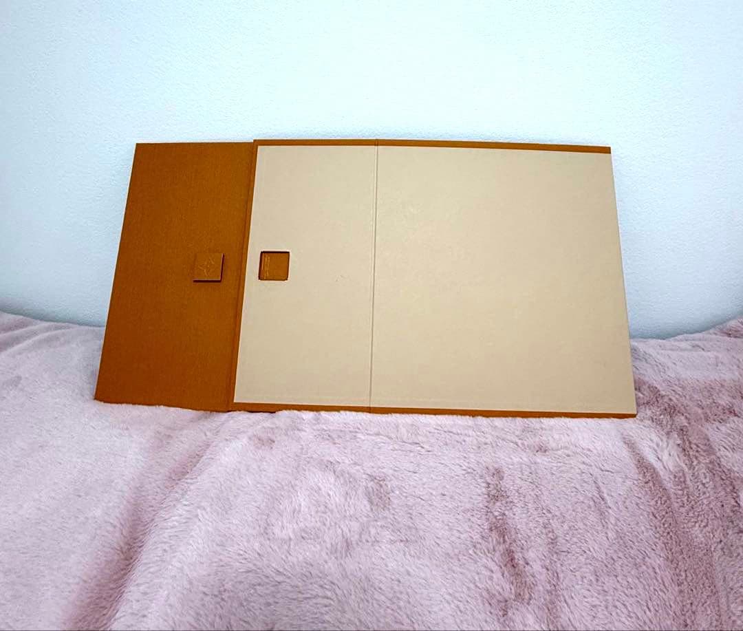 LOUIS VUITTON 空箱 ショッパーまとめ売り　値下げしました！