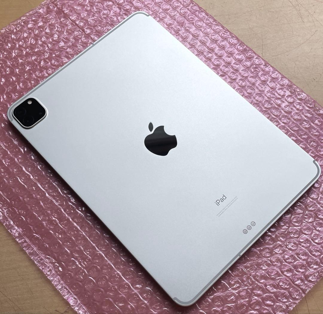 iPad Pro 11インチ　第2世代　Wi-Fi+Cellular 美品　#1