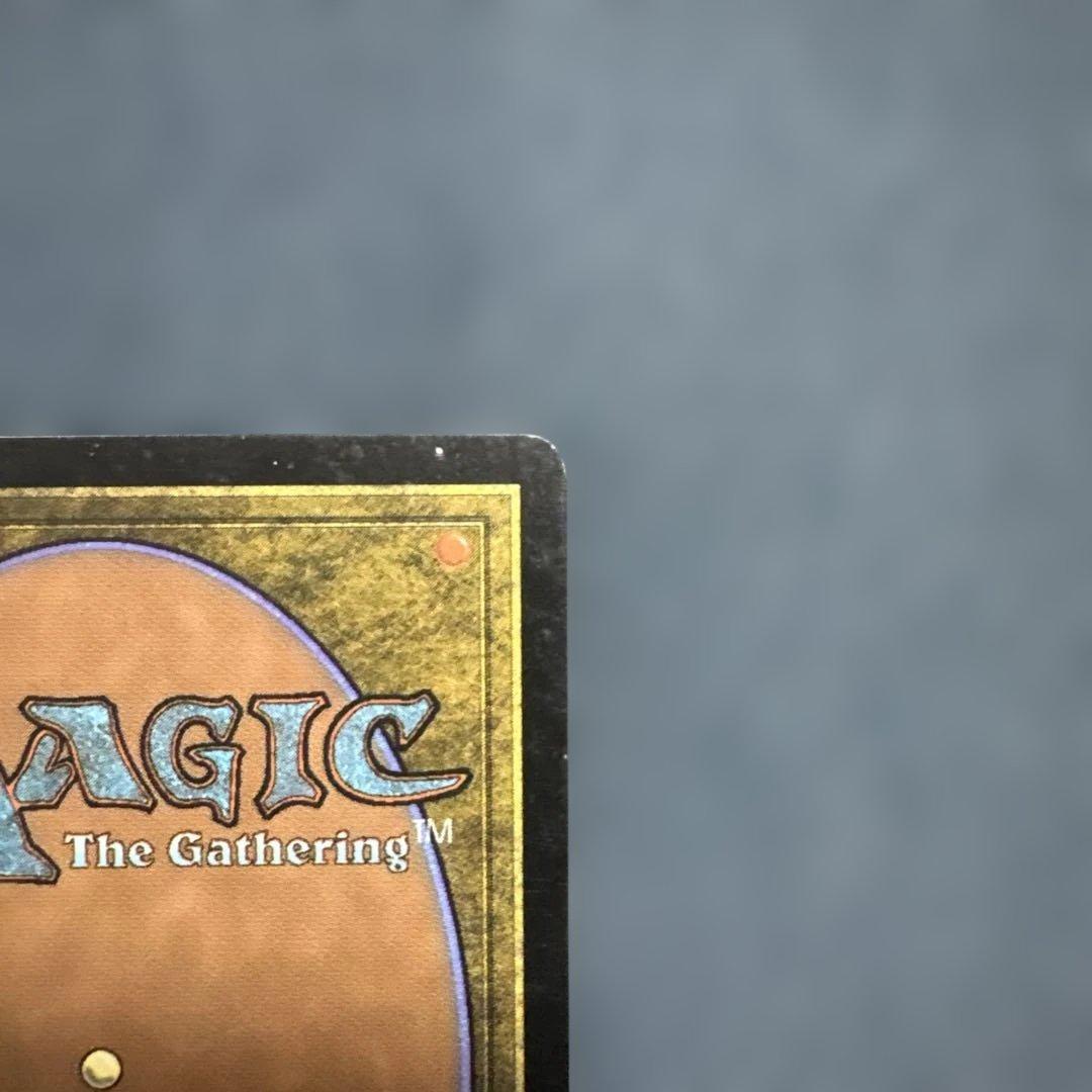 MTG 血染めのぬかるみ 日本語版１枚