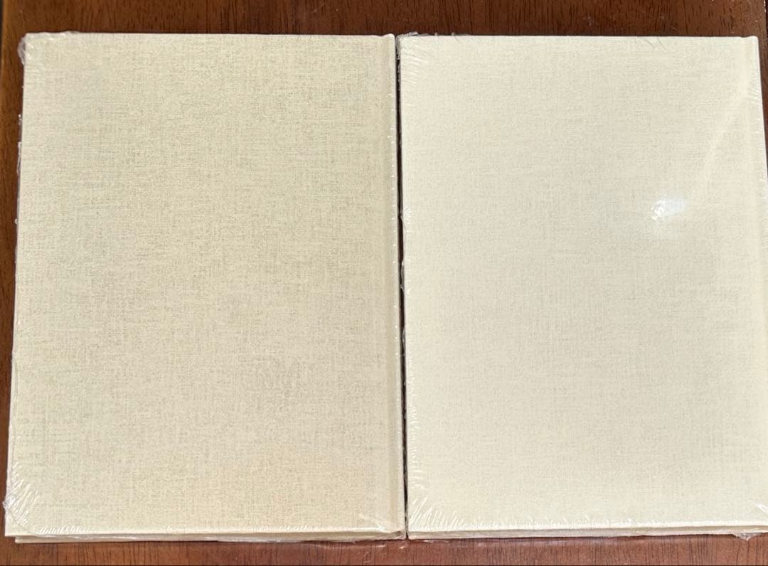 ブレインダンプジャーナル　２冊セット