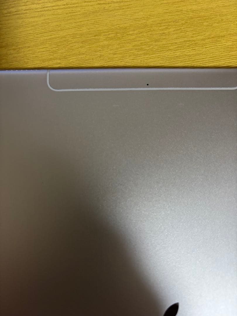 iPad Pro 第1世代256GB Wi-Fi + Cellularモデル
