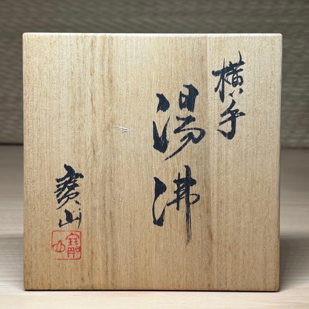 雲林院 宝山 昌平 寶山 横手 湯沸 竹笹彫 共箱 急須 煎茶道具 茶注 茶器