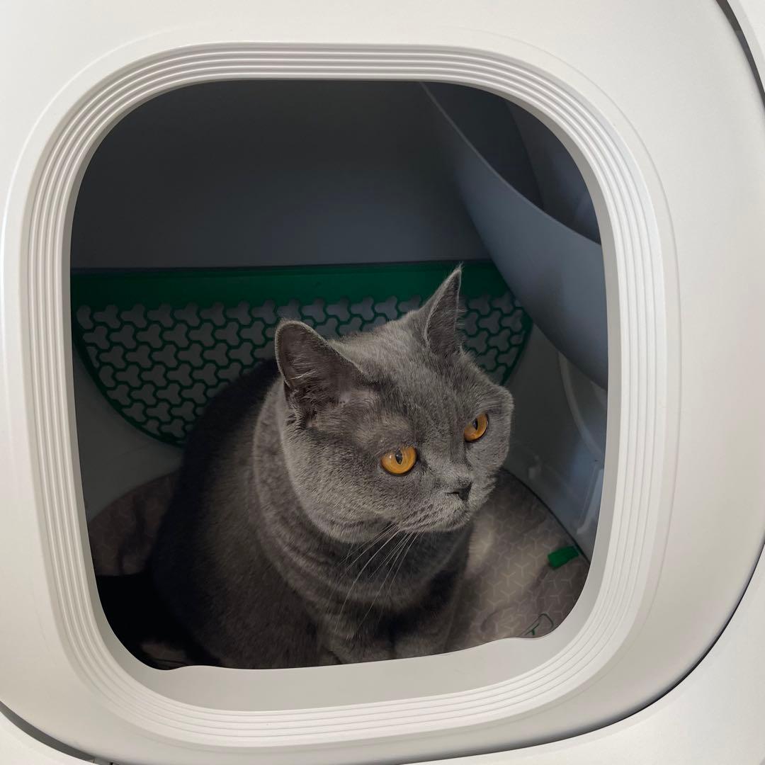 PETKIT PURA MAX2 自動掃除機能付き猫用トイレ