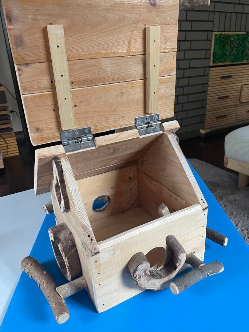 山小屋風鳥の遊び場