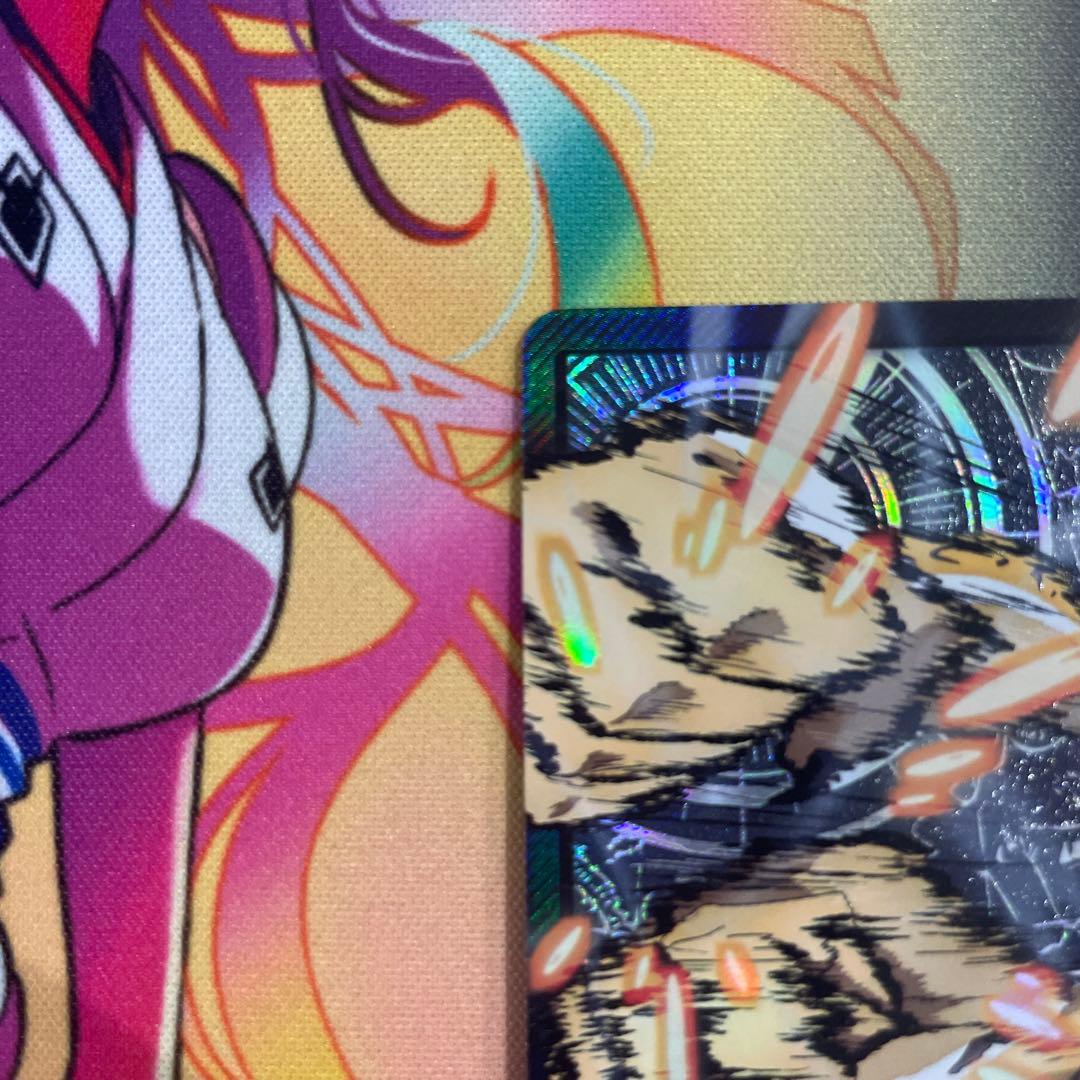 ロブルッチ　リーダーパラレル　金文字
