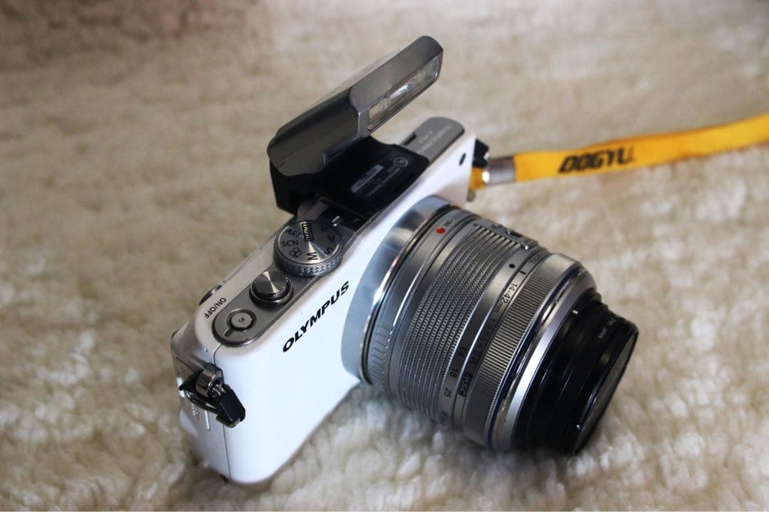 ⭐️美品⭐️ OLYMPUS PEN Lite E-PL3 S コンパクト一眼レフ