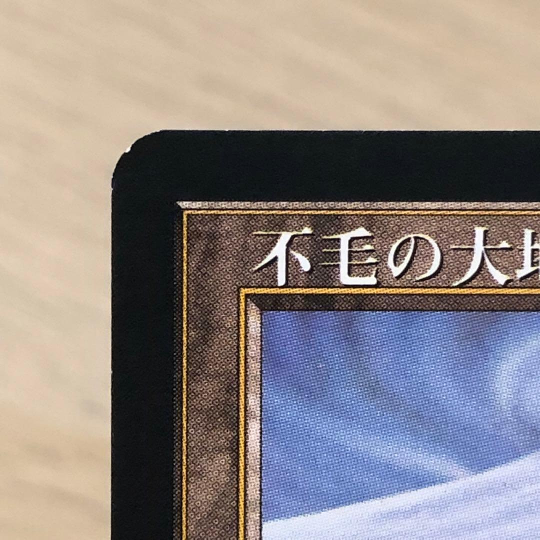 MTG マジック：ザ・ギャザリング 不毛の大地 日本語版 旧枠 TMP 黒枠