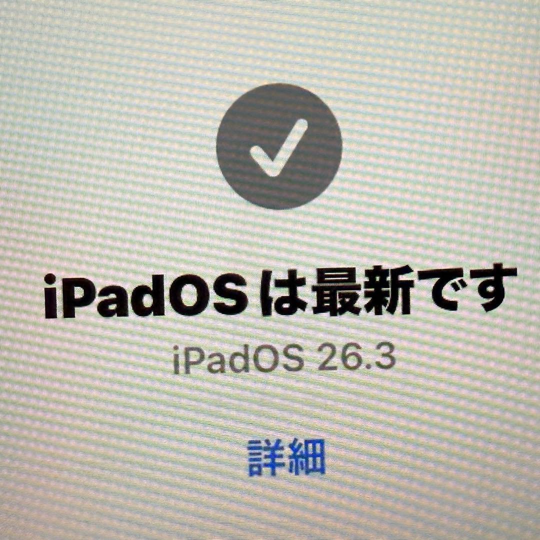 iPad Air 第4世代 Wi-Fiモデル 64GB スカイブルー セット