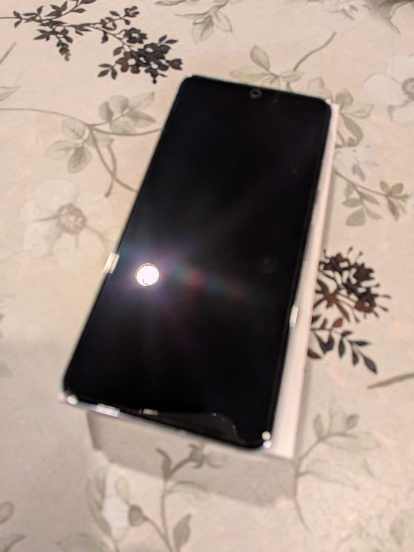 Google Pixel 8 Pro 本体