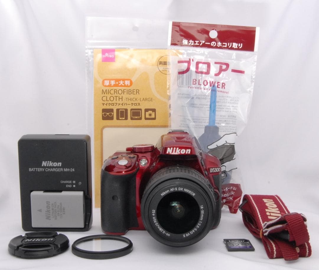 【美品】Nikon D5300 一眼レフ カメラ 撮影 Wi-Fi 桜 入学式