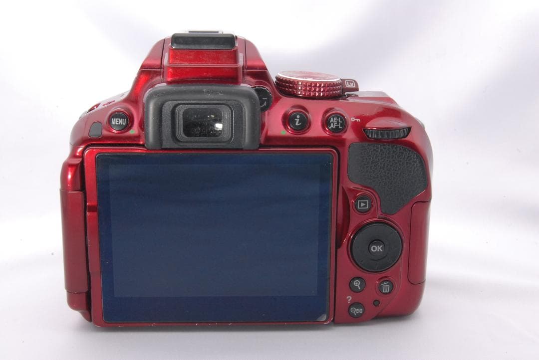 【美品】Nikon D5300 一眼レフ カメラ 撮影 Wi-Fi 桜 入学式