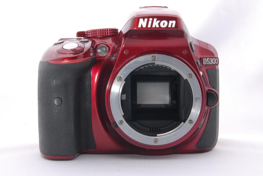 【美品】Nikon D5300 一眼レフ カメラ 撮影 Wi-Fi 桜 入学式