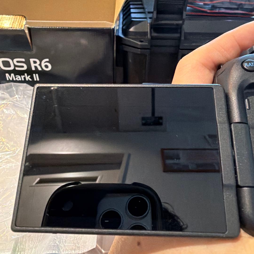【美品】Canon EOS R6 Mark II 本体/ 充電器　sdカード