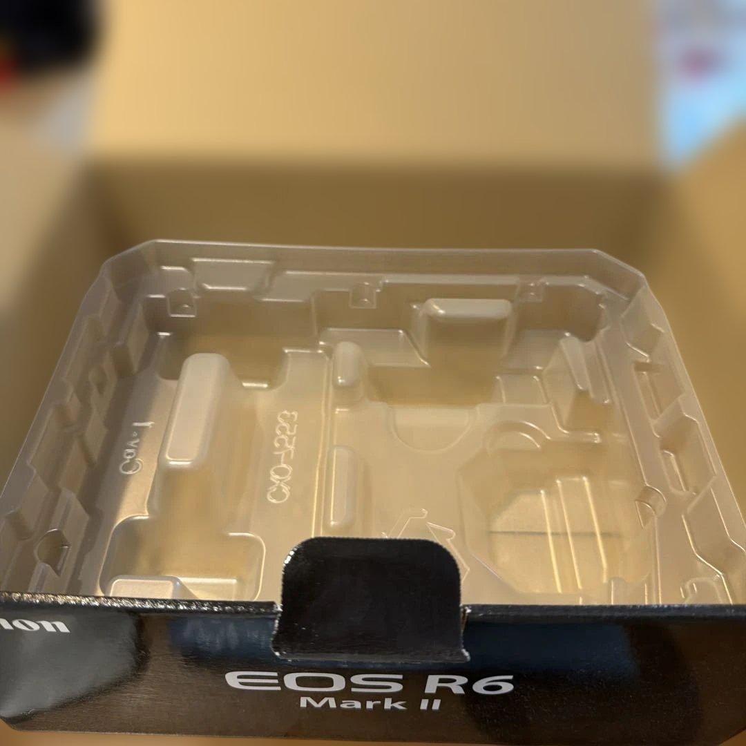 【美品】Canon EOS R6 Mark II 本体/ 充電器　sdカード