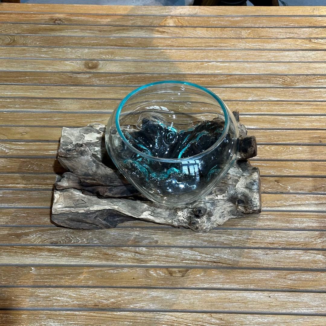 【送料込】バリ島流木ガラス　ガラスΦ21cm前後 苔リウム252Bアクアリウム
