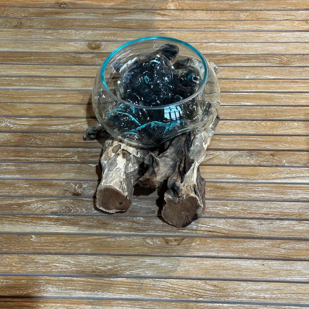 【送料込】バリ島流木ガラス　ガラスΦ21cm前後 苔リウム252Bアクアリウム
