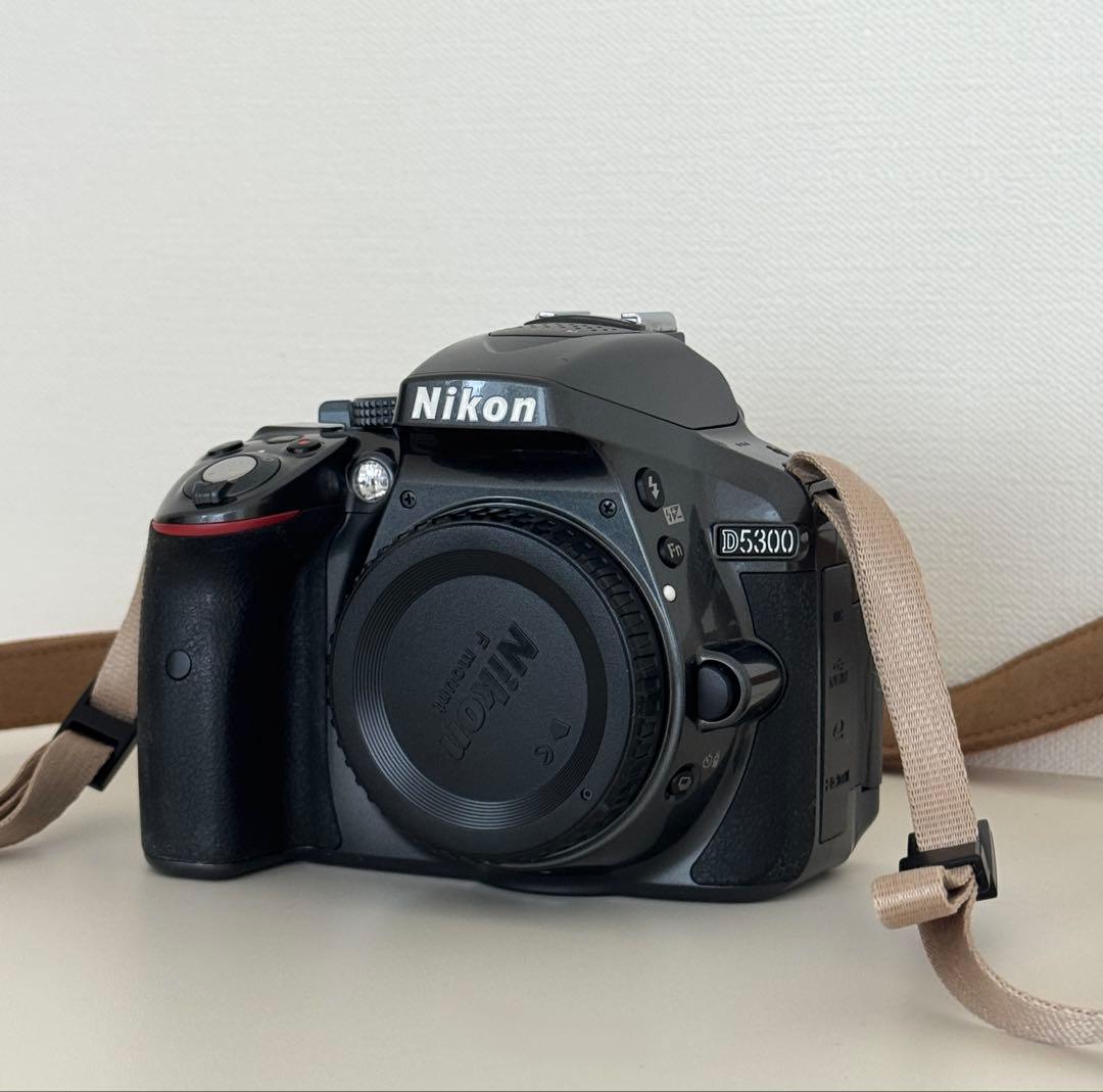 Nikon D5300 レンズキット バッグ付 付属品多数