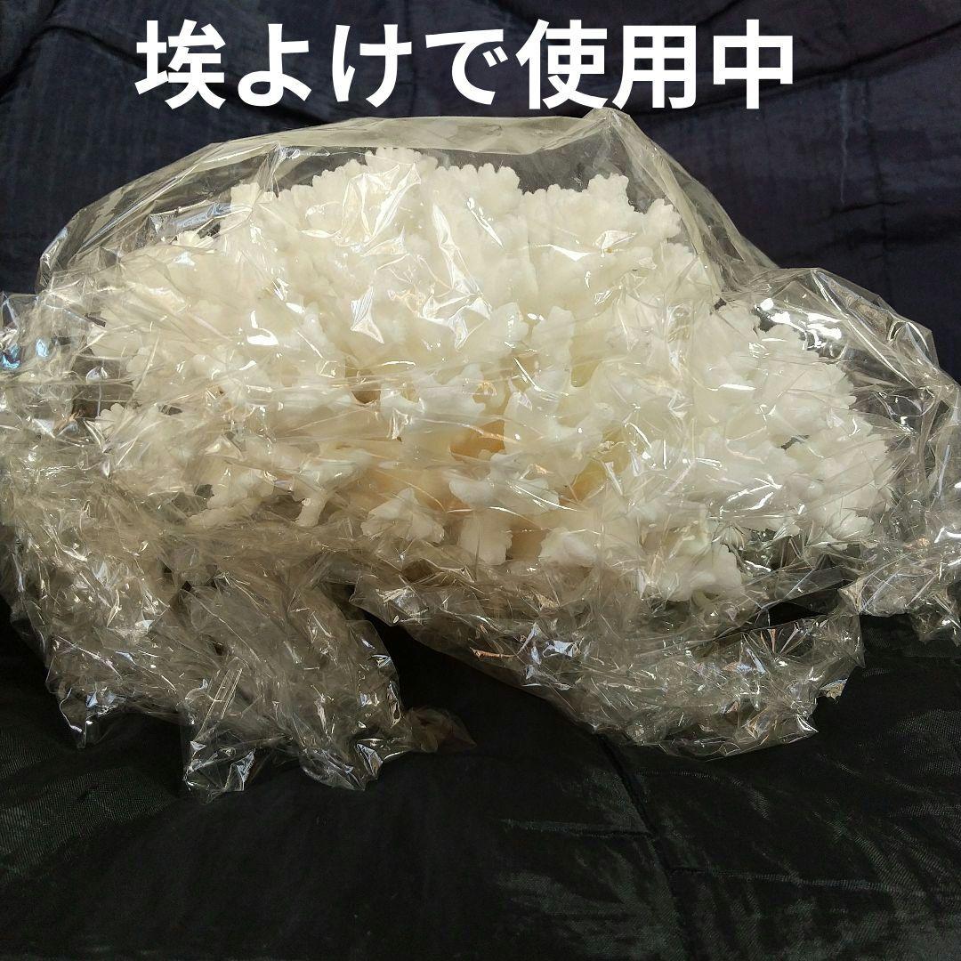 天然　ホワイトサンゴ 白珊瑚　水槽装飾用　 オブジェ インテリア コレクション