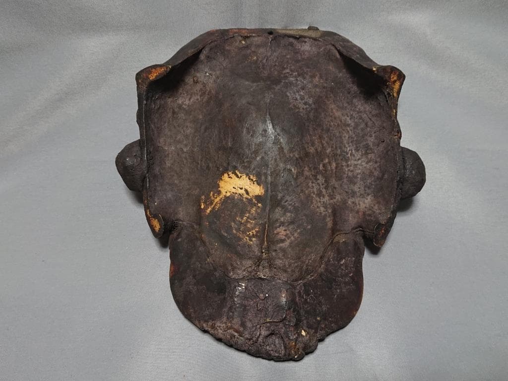 primitive art　カメルーン　亀甲羅装飾　タカラガイ象嵌　バモンマスク