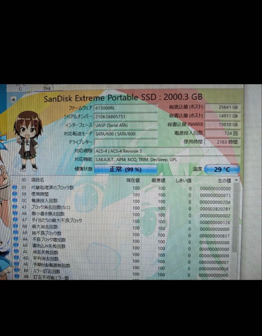 SanDisk Extreme ポータブルSSD 2TB正常判定99%