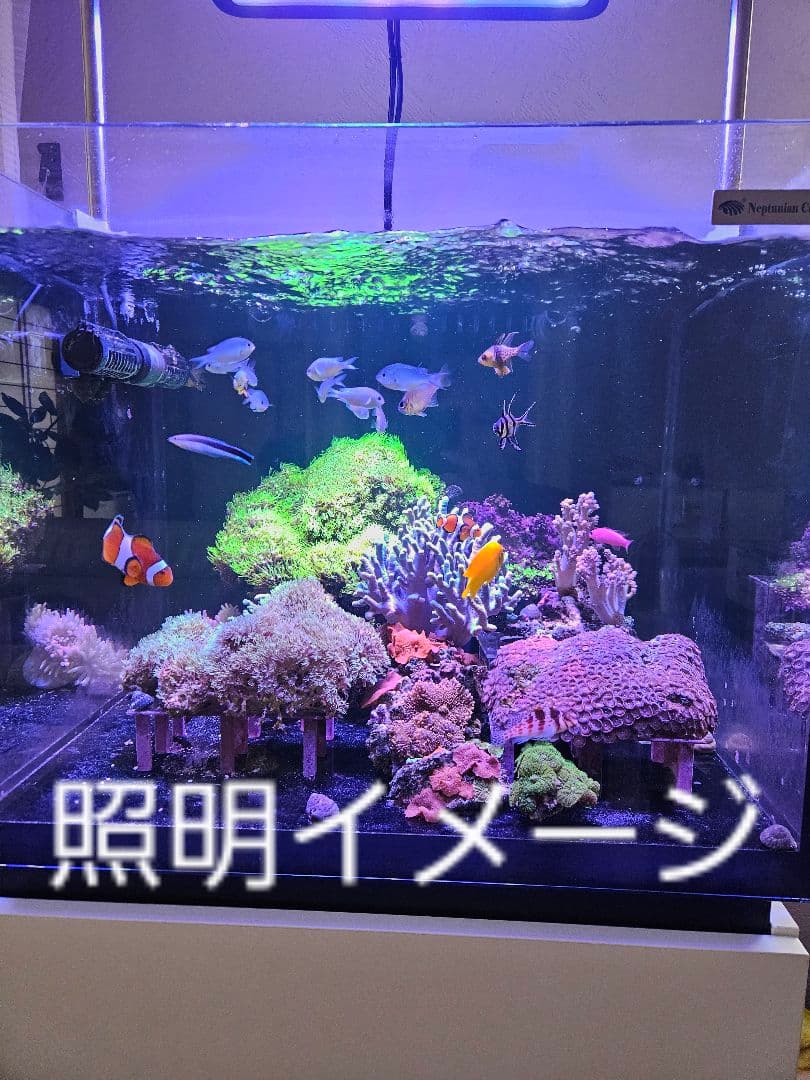 ブラックボックス　LEDライト　プリズムレンズ 吊り下げ式
