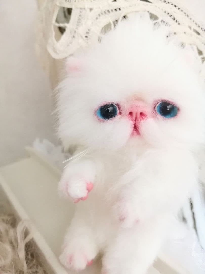 ミニミニ子猫ちゃん♡エキゾチック♡アートドール♡ぬいぐるみ♡ふわふわ♡