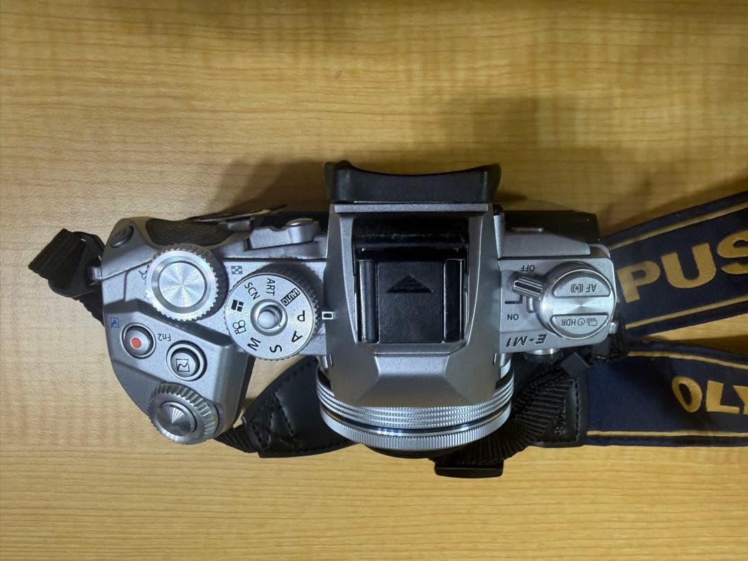 Olympus OM-D E-M1（シルバー）