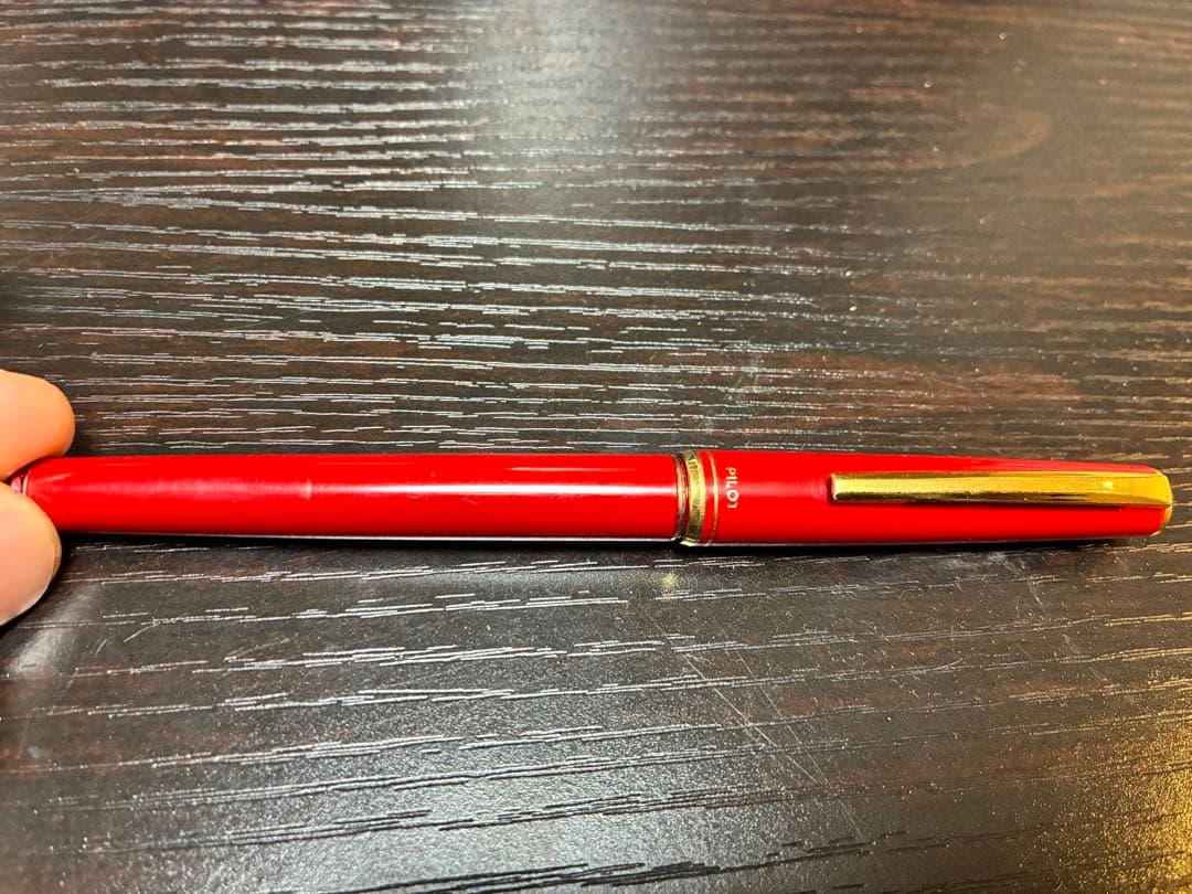 万年筆　ボールペン　計6本セット(pilot、pelikanoなど) ケース付き