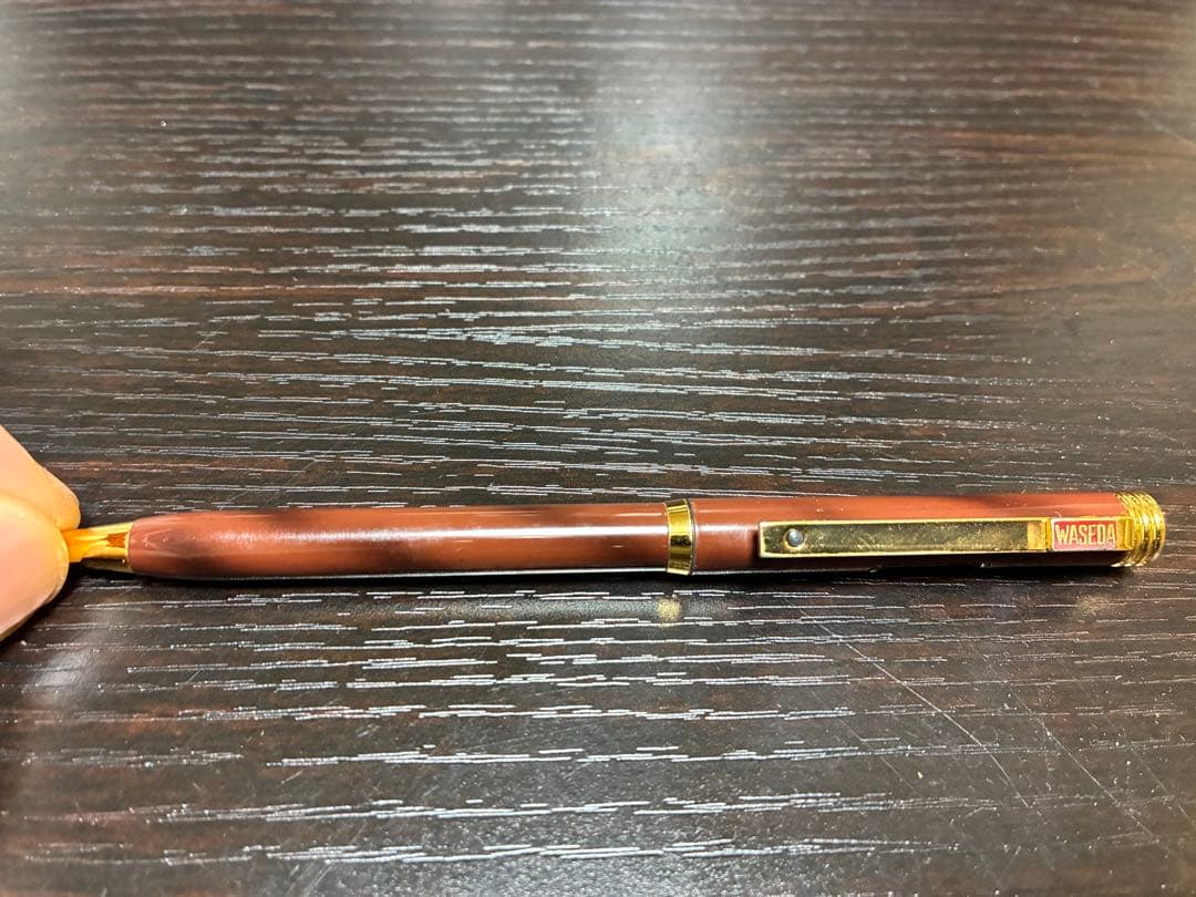 万年筆　ボールペン　計6本セット(pilot、pelikanoなど) ケース付き