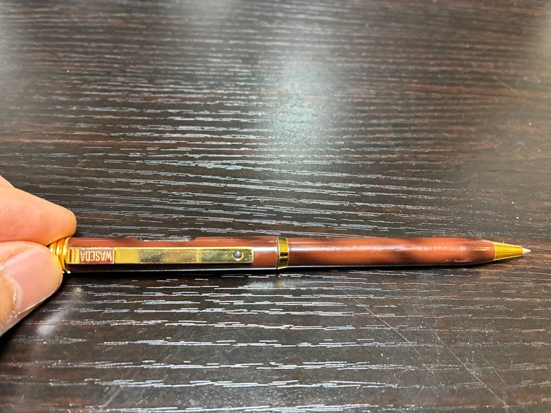 万年筆　ボールペン　計6本セット(pilot、pelikanoなど) ケース付き