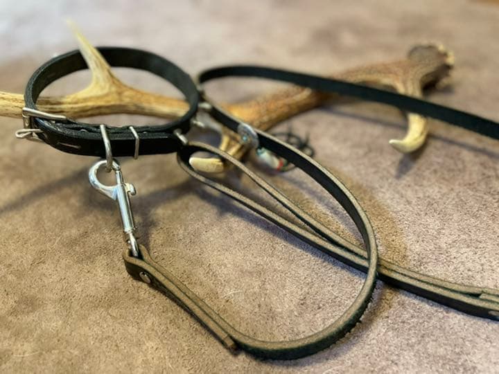 値下げ　新品　犬用本革リード首輪セット　レア　1点物