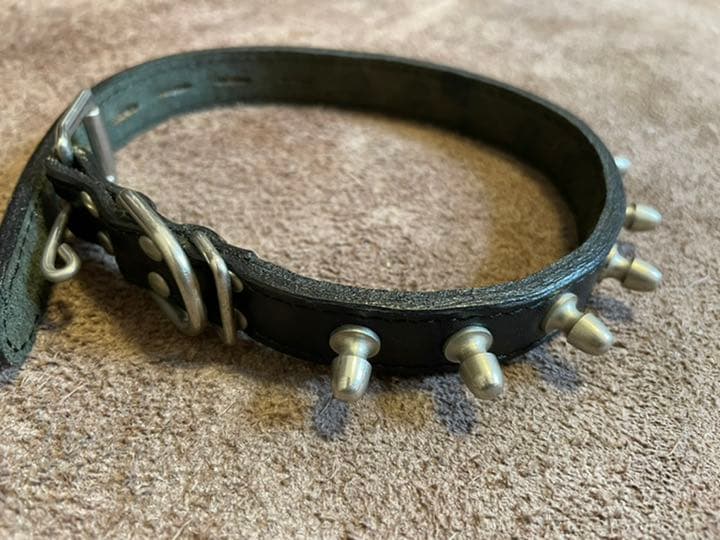 値下げ　新品　犬用本革リード首輪セット　レア　1点物