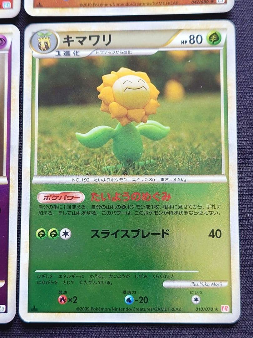 ヤドラン　ロコン　ピッピ　アンノーン　ヒノアラシ　レジェンド　ミラー