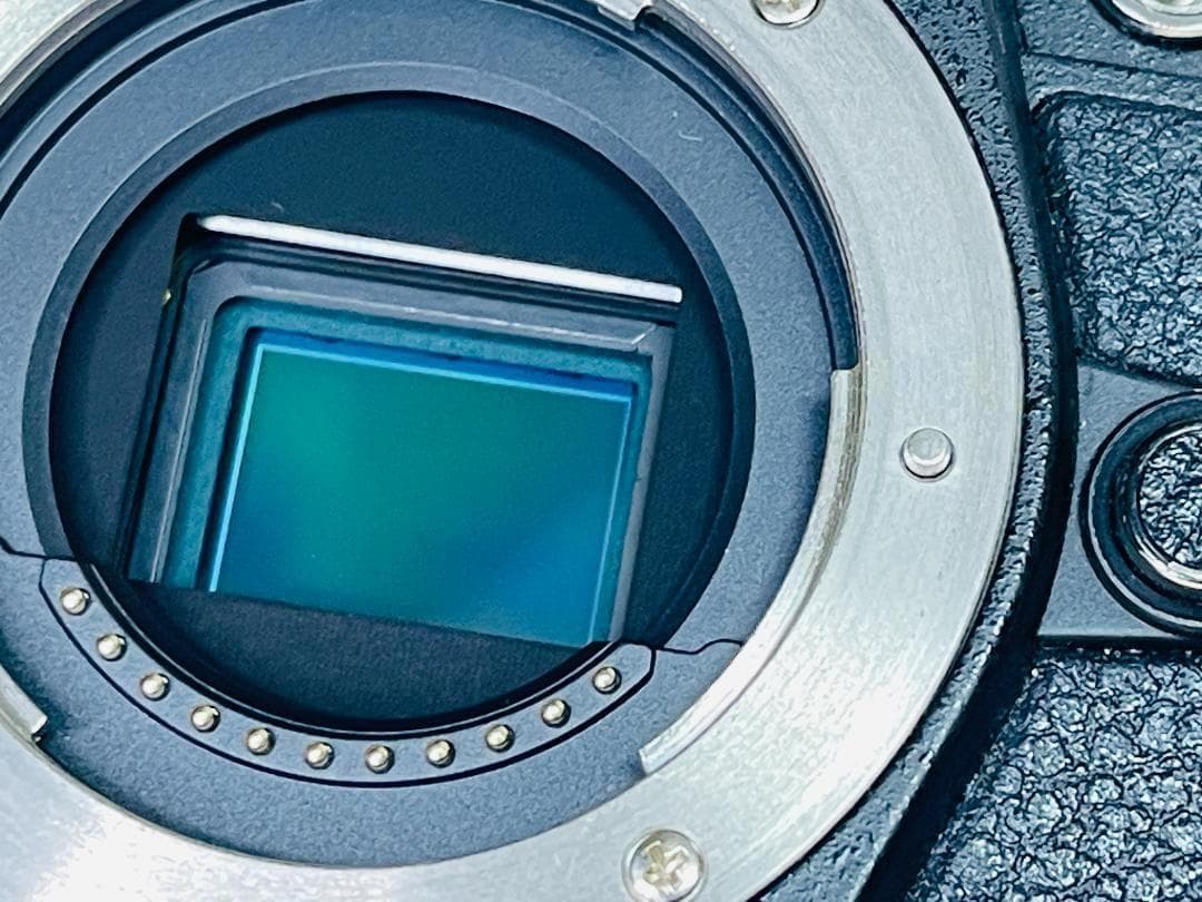 OLYMPUS OM-D E-M5 Mark II ミラーレス一眼カメラ