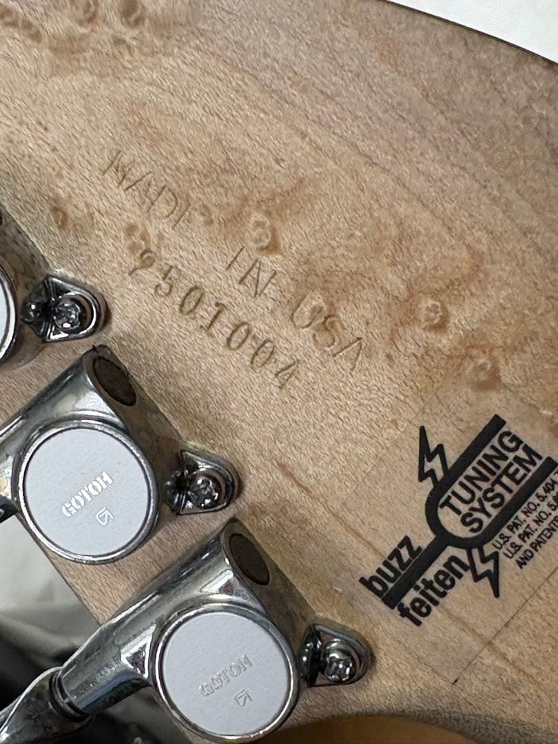 極美品 Washburn N4 Authentic ClipLock付