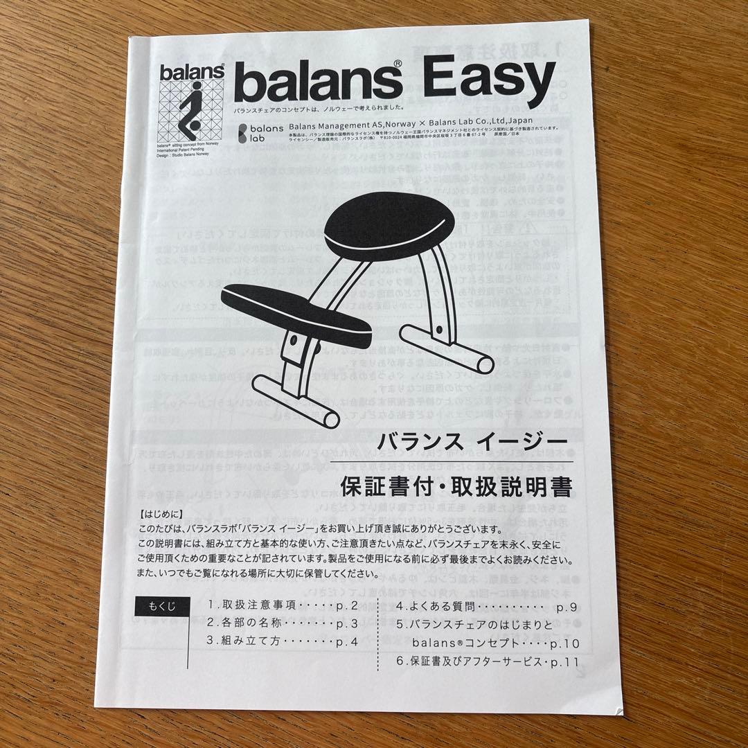 【組立不要】状態良好　説明書付　正規品バランスラボ　バランスイージー