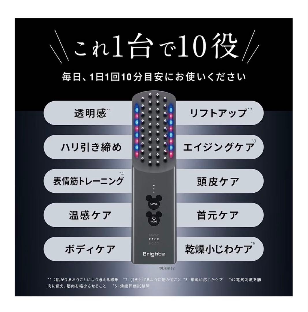 エレキブラシプラス ミッキー