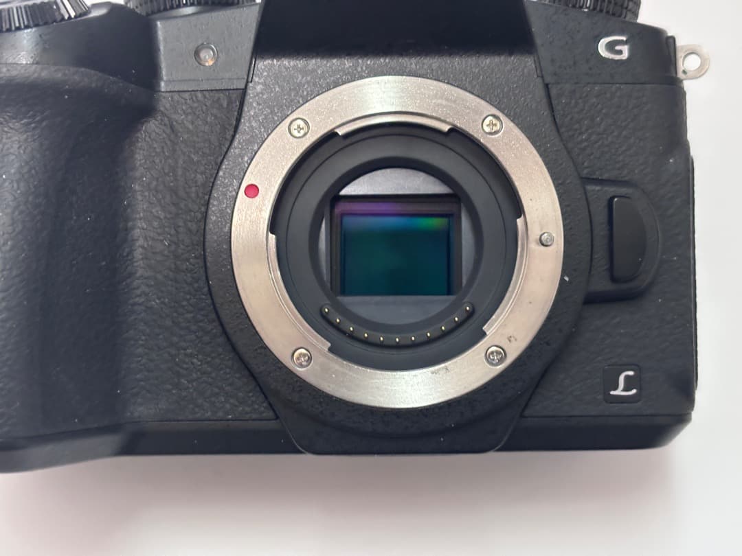 美品★Panasonic DMC−G8 LUMIX G8 ボディ★ショット数少