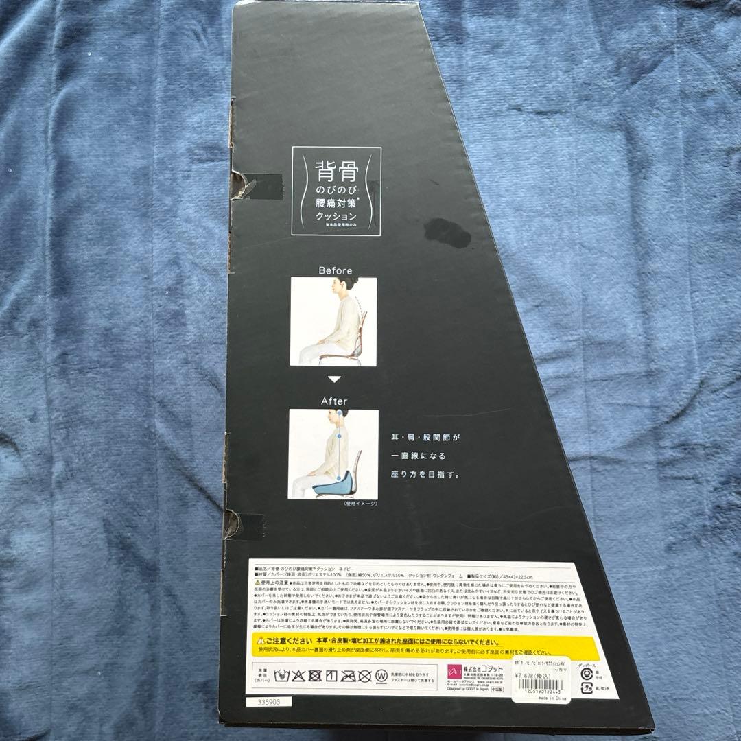 整骨院監修 美姿勢 背骨 のびのび腰痛対策 ウレタン クッション コジット