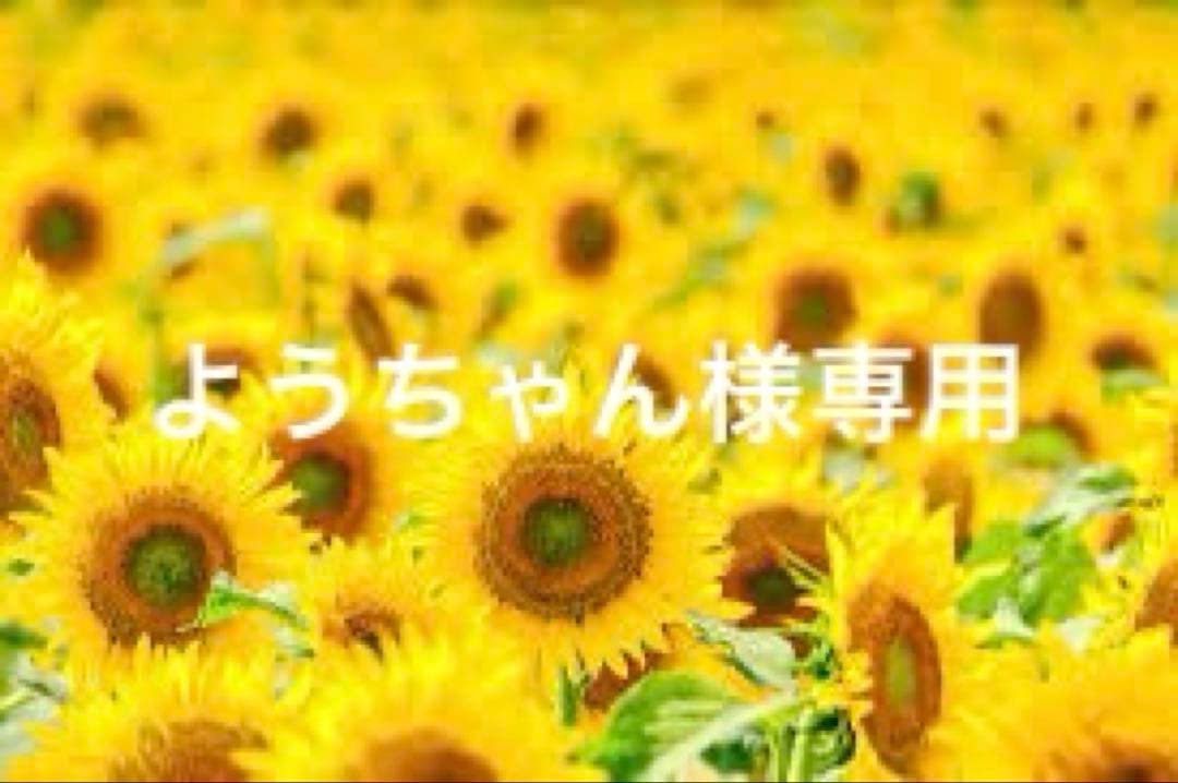 ようちゃん