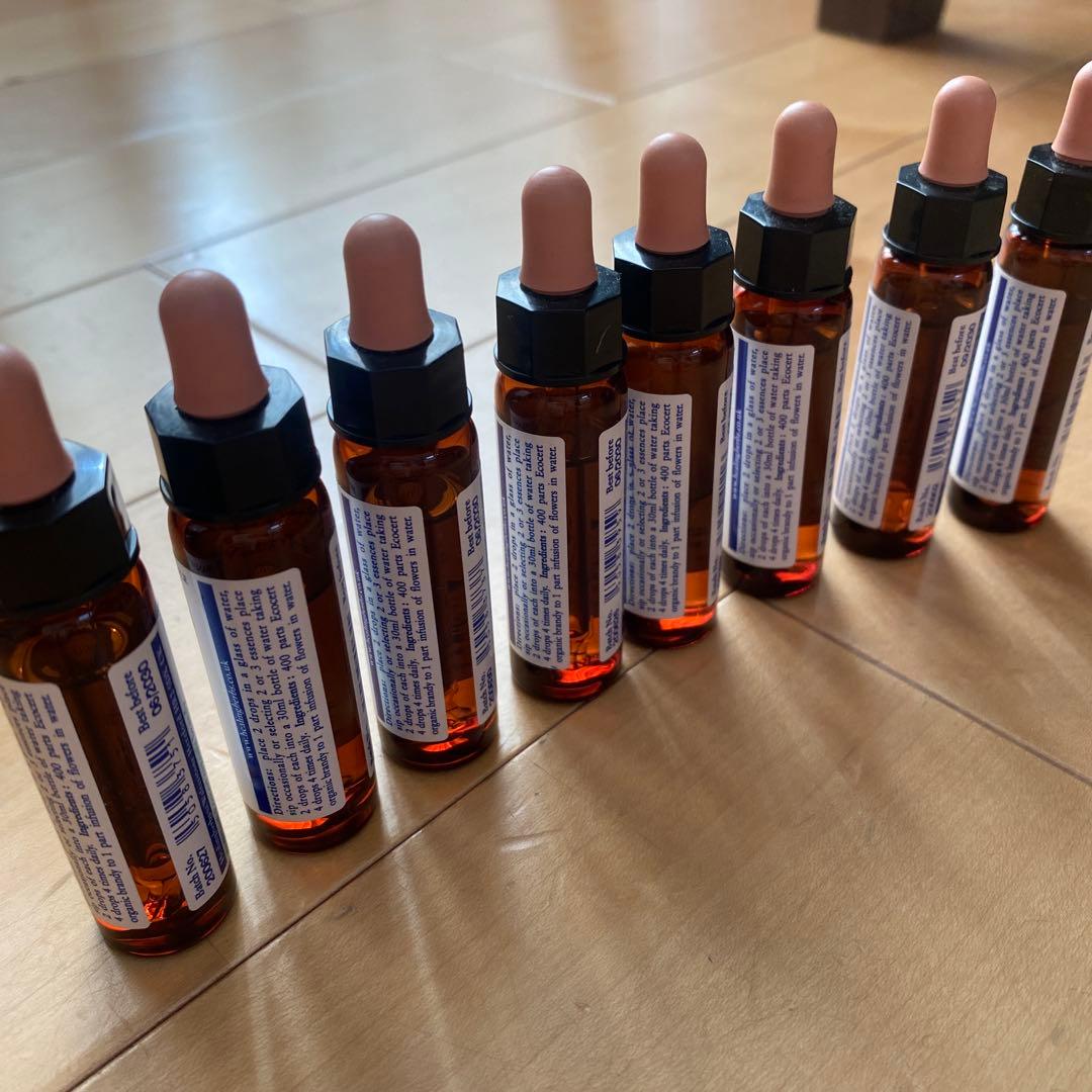 バッチフラワーレメディー　全種類　（30ml 10ml）