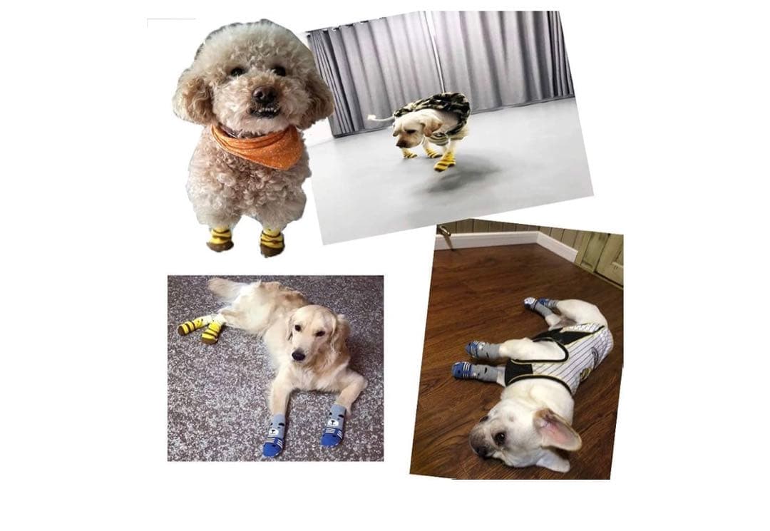犬用滑り止め靴下 犬爪保護器 犬足裏プロテクター クマ・ミツバチ各2足 2XL