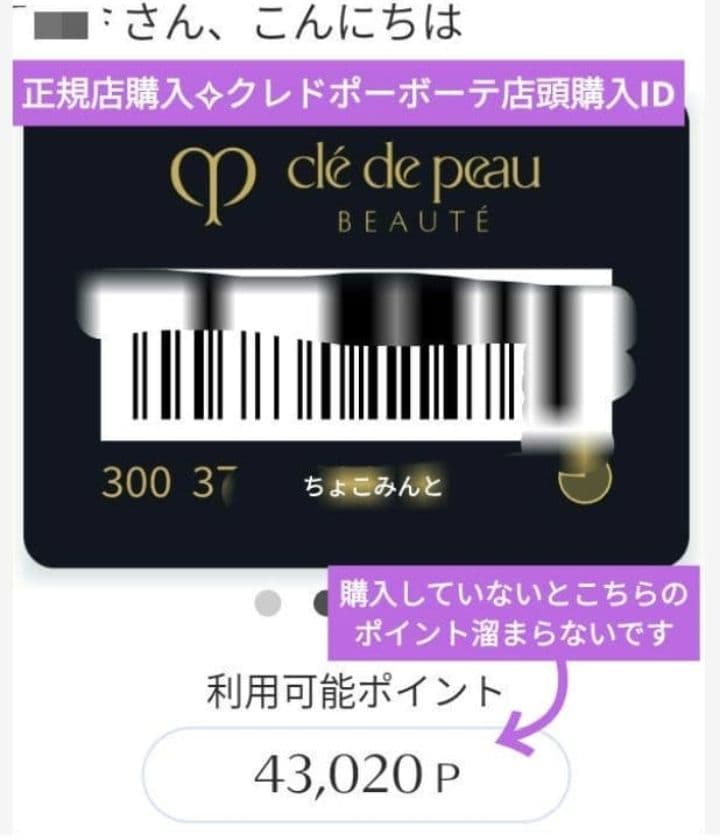 新品 クレドポーボーテ ヴォワールコレクチュールn