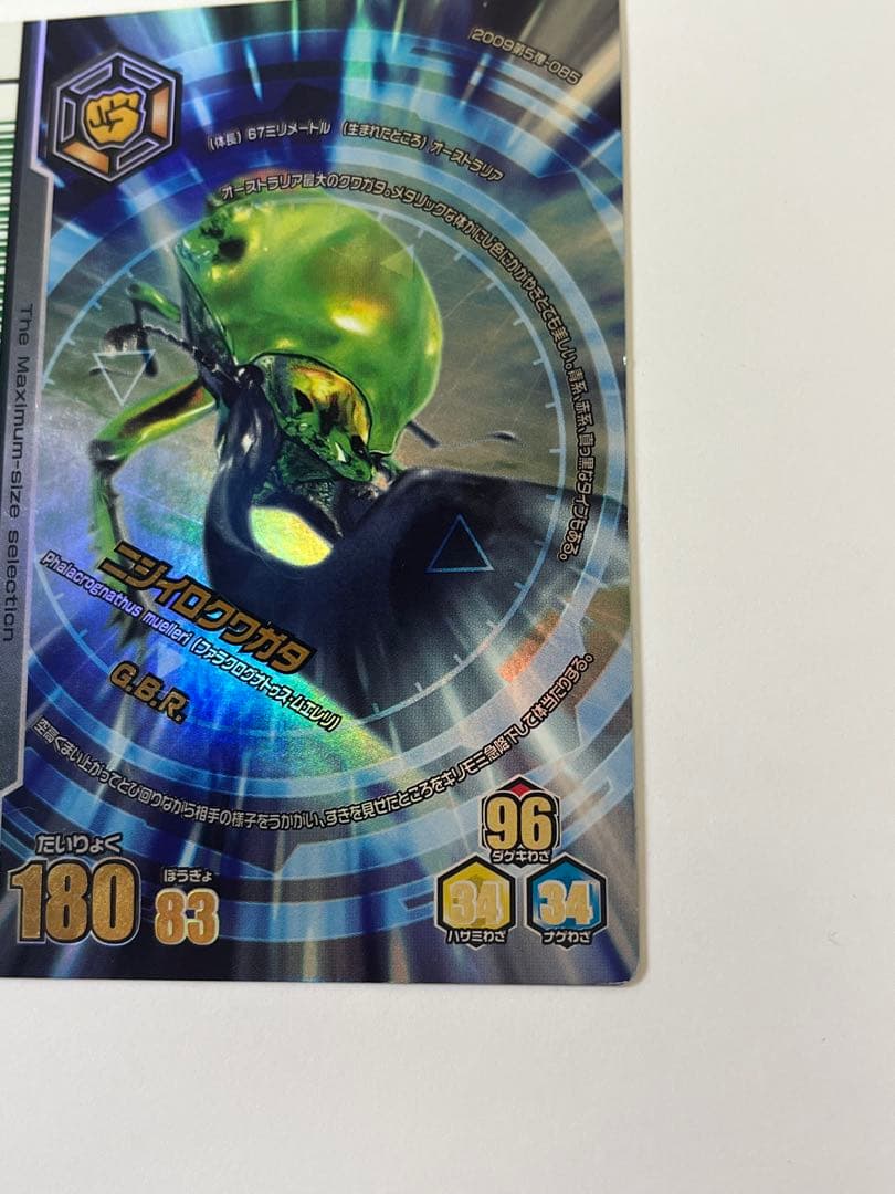 廃盤 ムシキング 2009 第5弾 ニジイロクワガタ G.B.R. アダー完結編