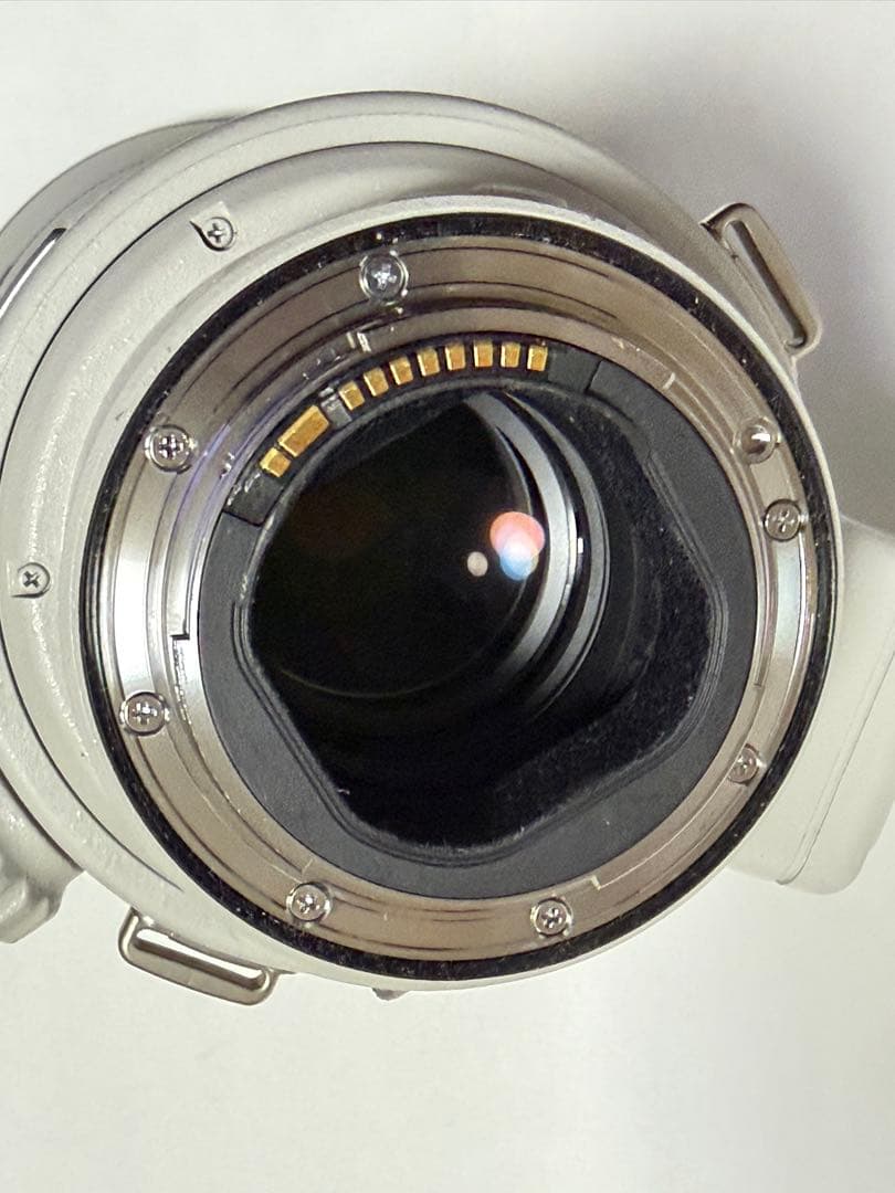 Canon EF300mm F2.8L IS II USM 安心メンテ済 超美品